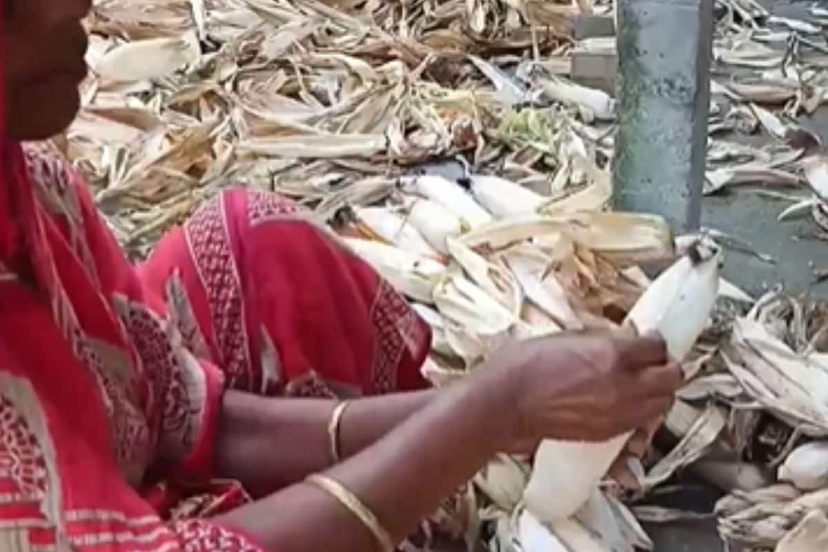 This Bengal Worker Is Producing Oil From Corn At Home And Selling It