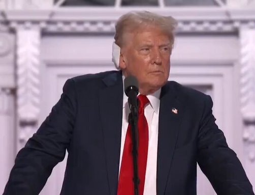 “Not Running For Just Half Of America”: Donald Trump’s Pitch Ahead Of Polls