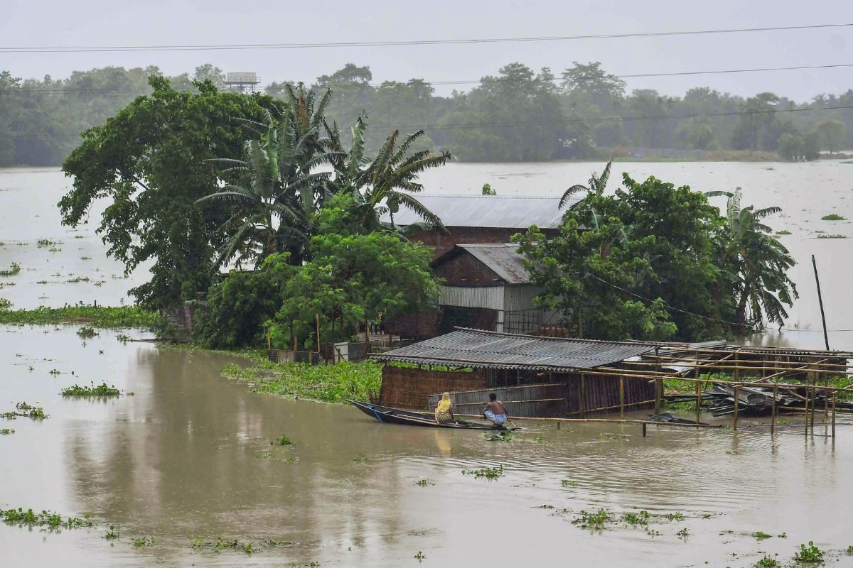 Four Animals Dead In Flooded Kaziranga National Park, 24 Rescued