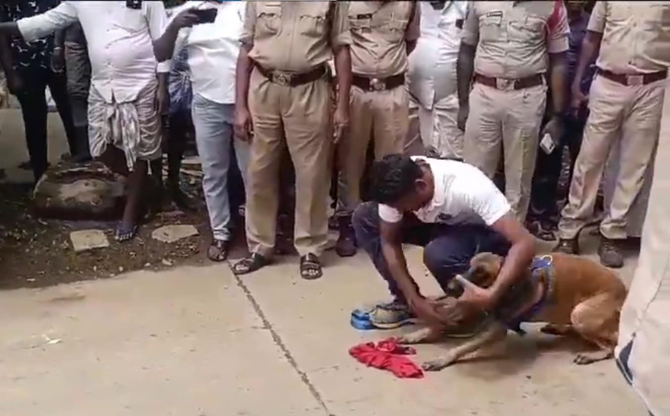 Missing Girl, 8, Gangraped By School Seniors, They Say They Killed Her