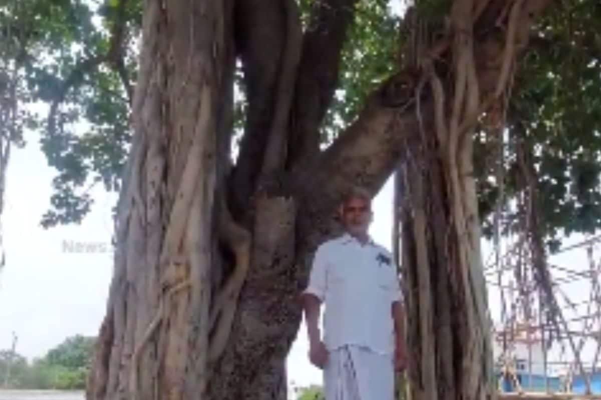 Meet Abu Baker, The 62-year-old ‘Guardian’ Of Madurai’s 105-year-old Banyan Tree