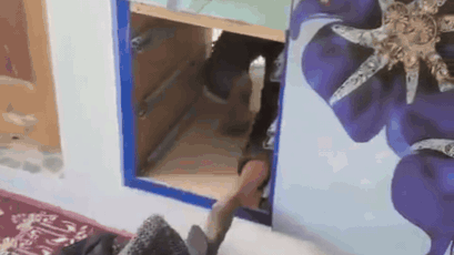 Watch: Security forces discover terrorist bunker hidden behind cupboard