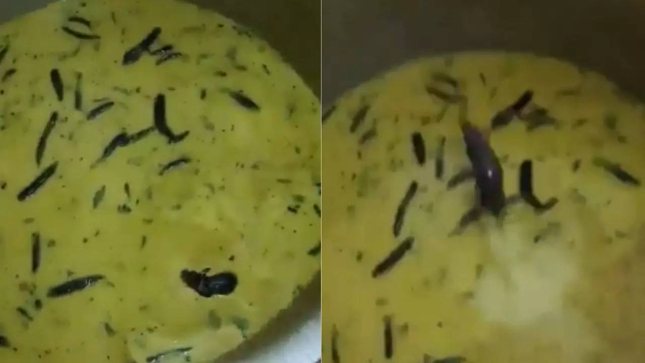 Viral video: Rat found swimming in chutney at Hyderabad university mess