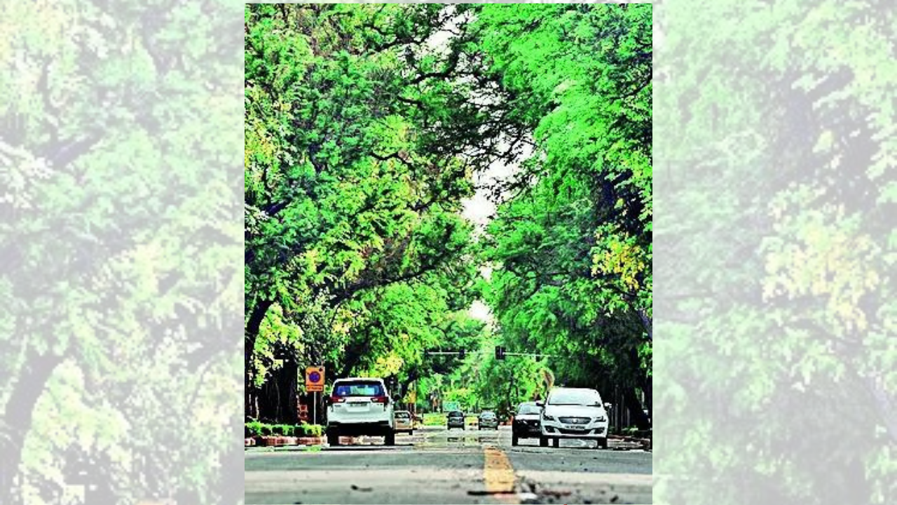 New ministers vie with each other for prime bungalows in Lutyens’