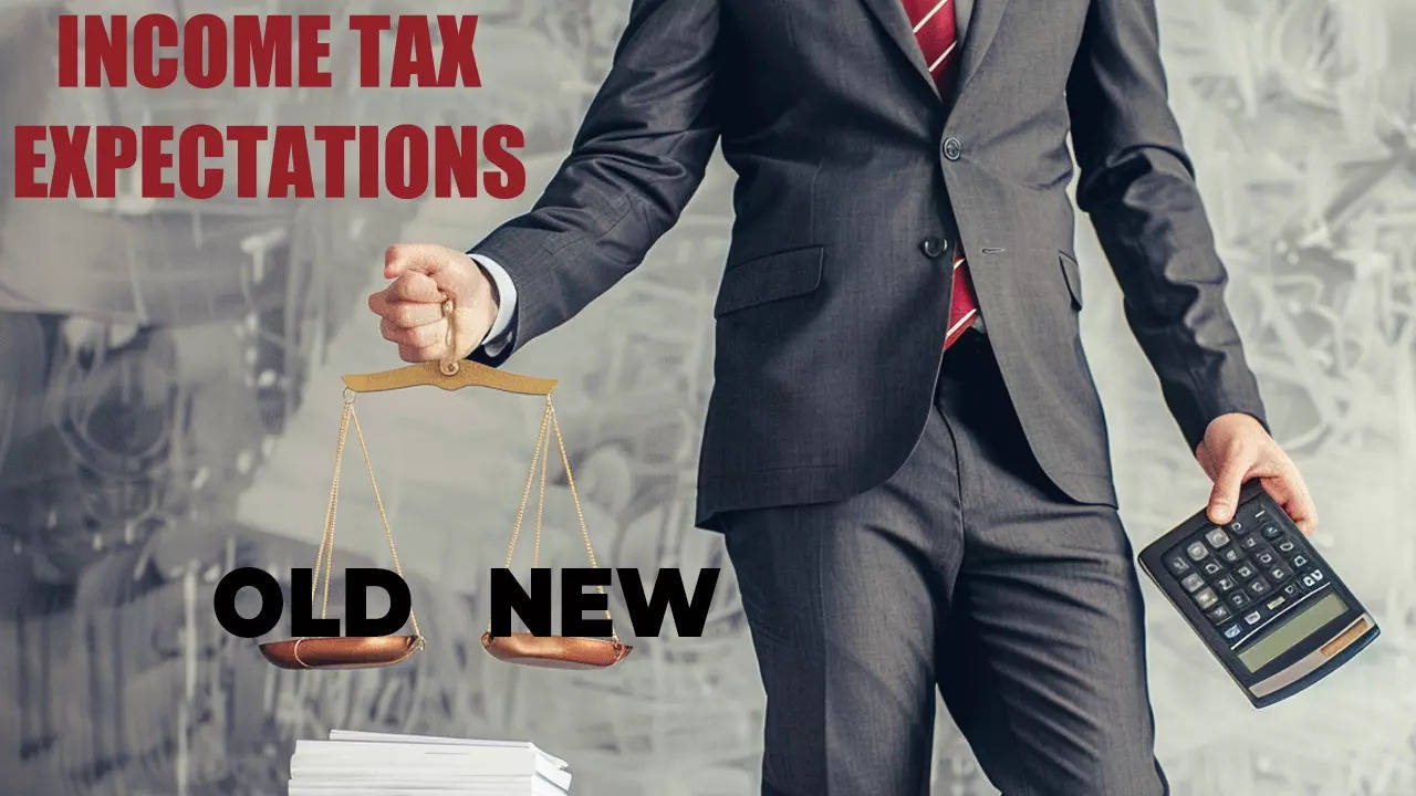 What can Budget 2024 do for salaried, middle class taxpayers and common man?