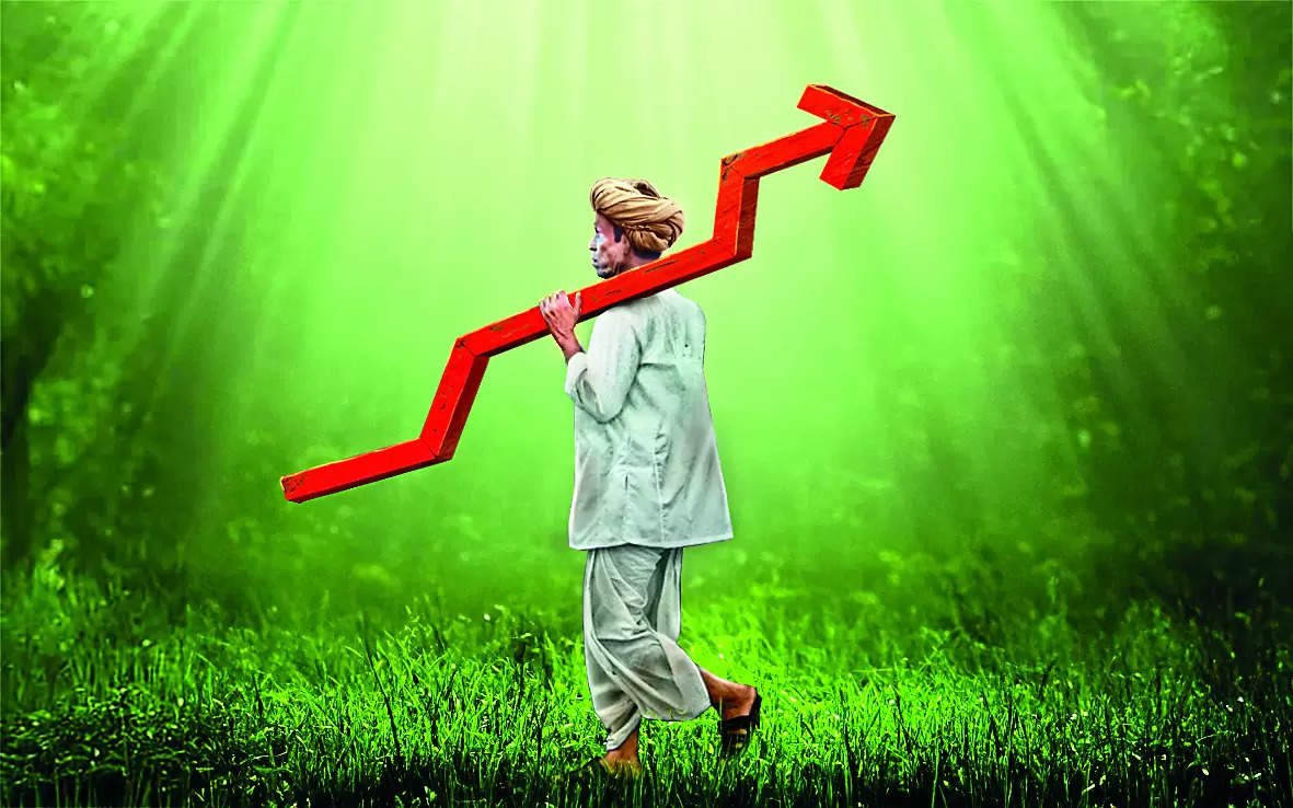 Budget’s big job: Get back BJP’s lost votes