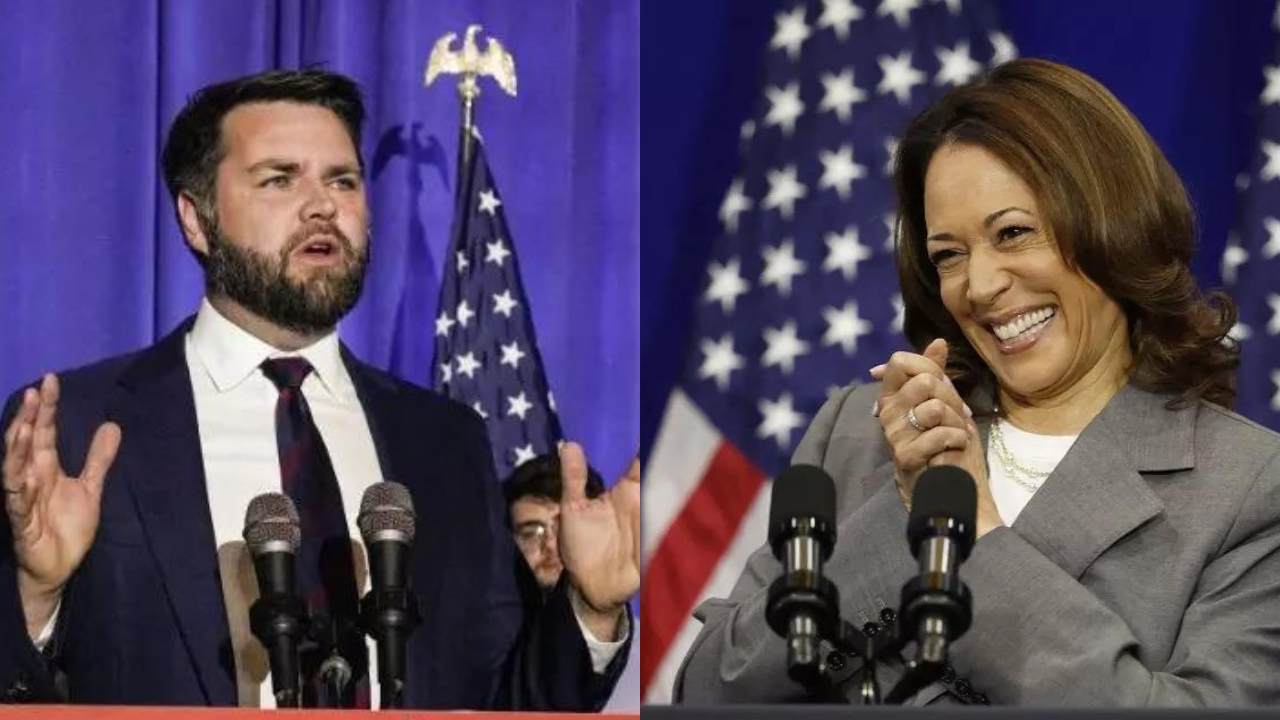 Catfight in US over childbearing and abortion as election campaign heats up