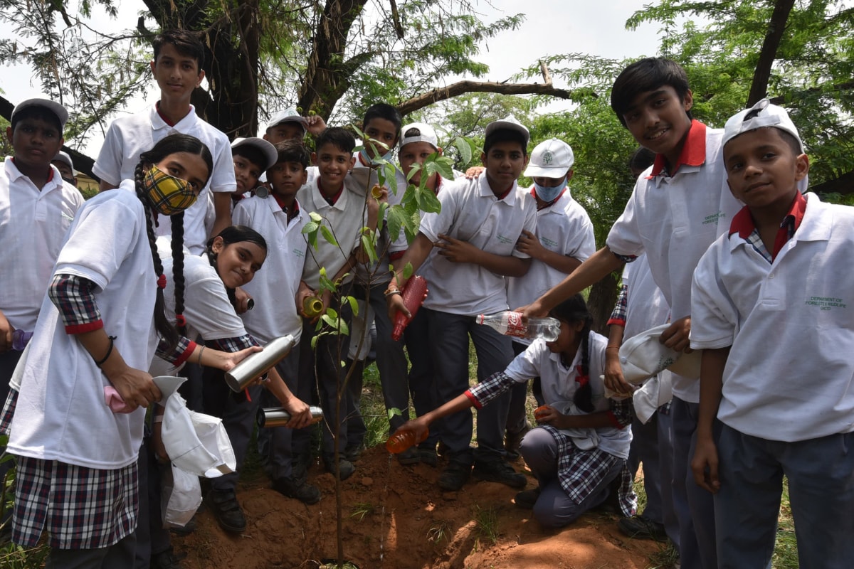 Project One Tree: All You Need to Know About Van Mahotsav