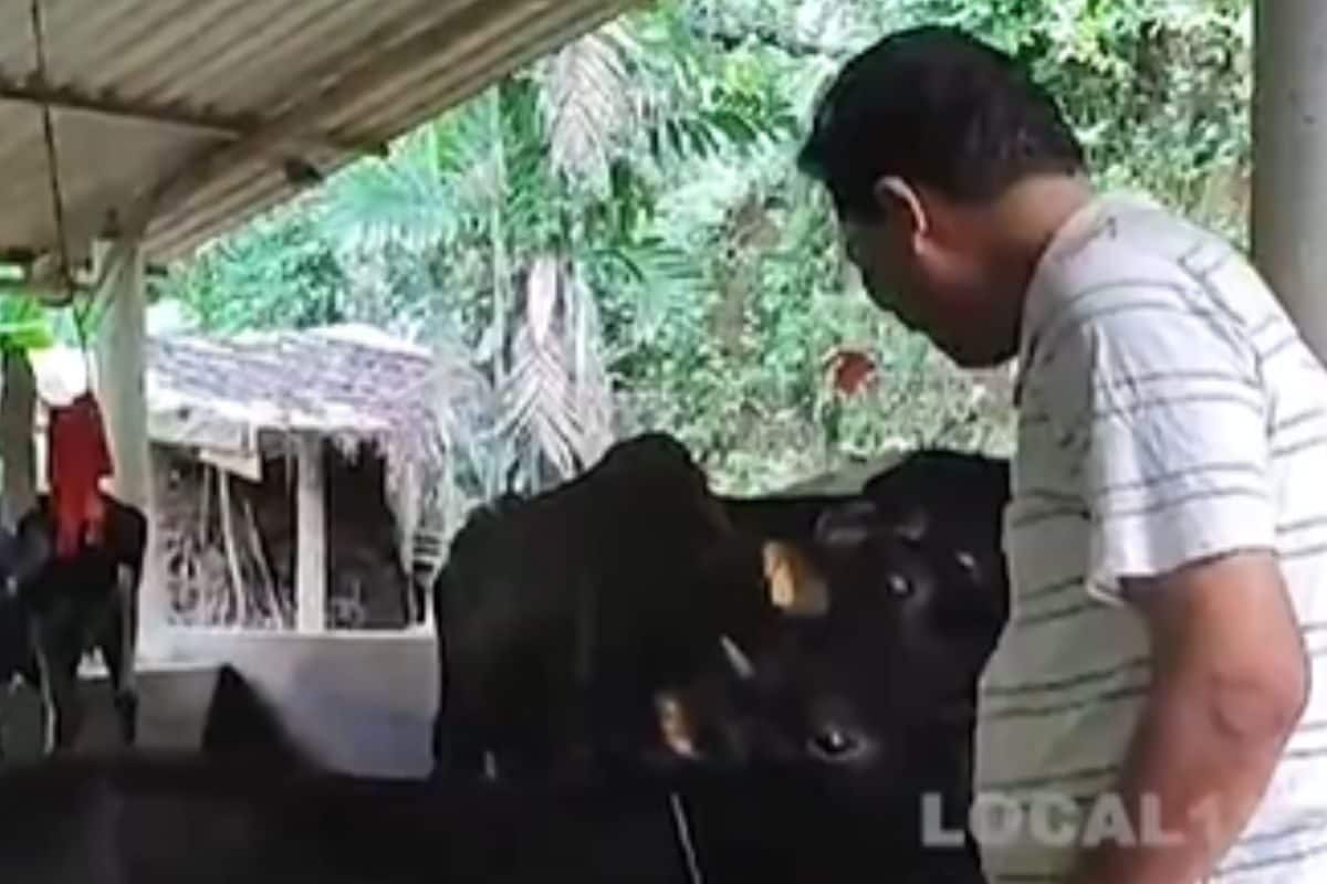 Ex-Karnataka MLA Sanjeeva Matandoor Invites Politicians To Dairy Farming