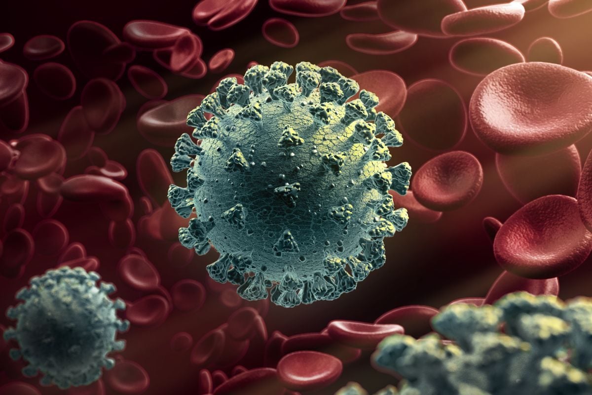 Kerala: 14-Year-Old Who Tested Positive for Nipah Dies of Cardiac Arrest, Family Members in Isolation