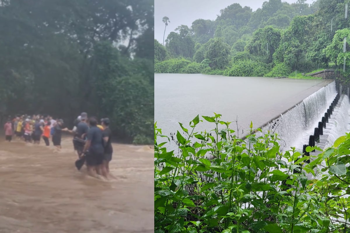 20 Trapped People Form Human Chain To Brave Raging Floods in Mumbai | Video