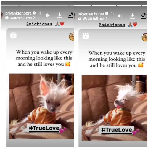 Priyanka Chopra reveals her and Nick Jonas’ hilarious definition of ‘true love’: ‘When you wake up every…’