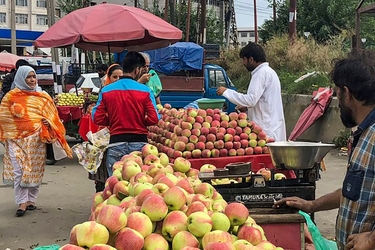 The Sticker on Your Apples and Oranges Has Nothing to do With the Price. Here’s What It Means