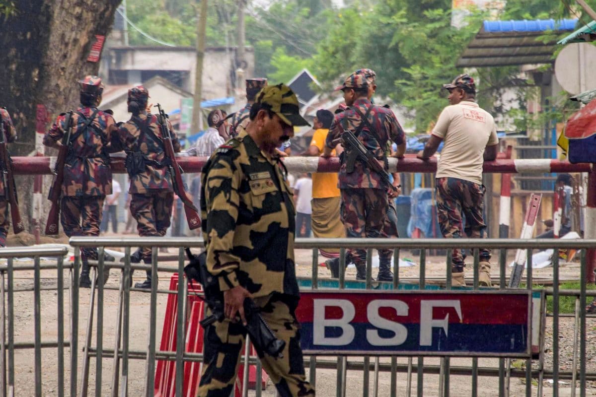 It’s Cattle vs Hilsa Fish at India-Bangladesh Border as Forces Tighten Security After Unrest