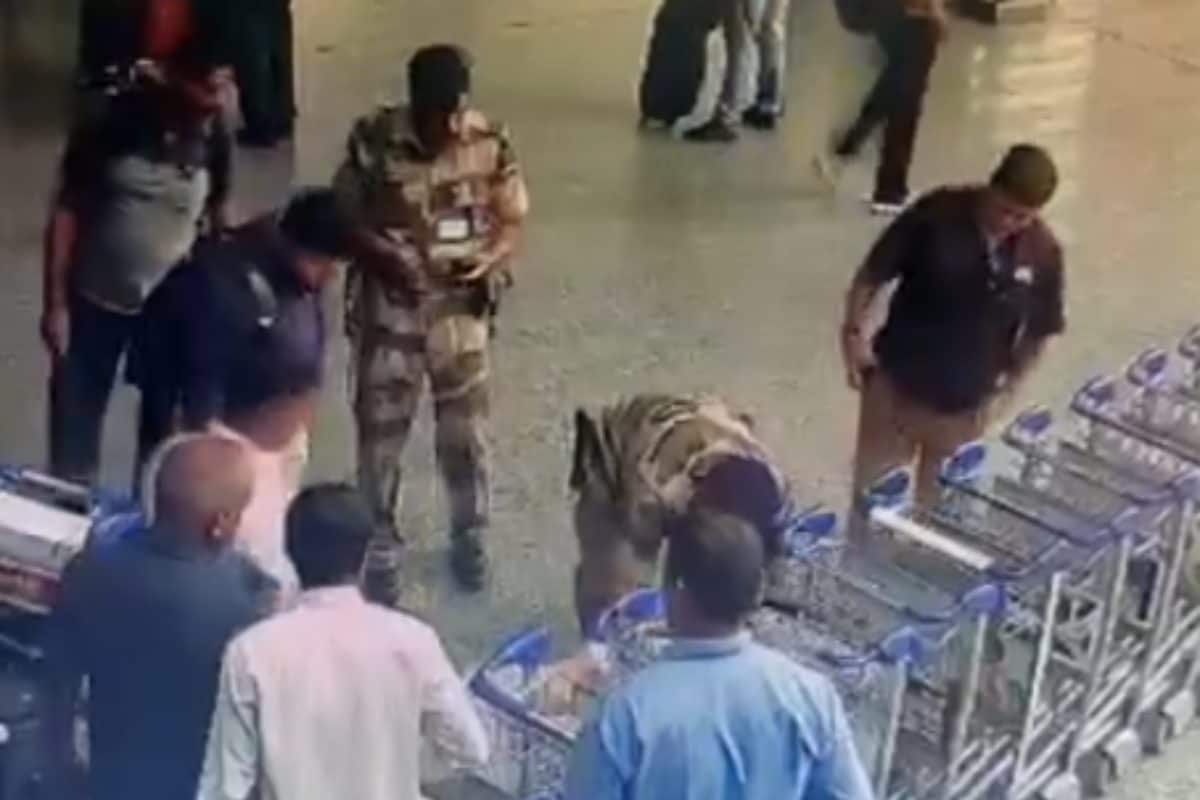 CISF Personnel’s Quick Response Saves Passenger’s Life After Cardiac Arrest At Delhi Airport | On Cam