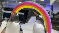 One half of world-famous gay penguin couple dies