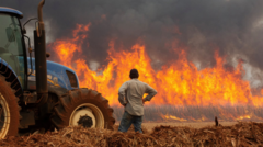 Cities on high alert as Brazil wildfires kill two