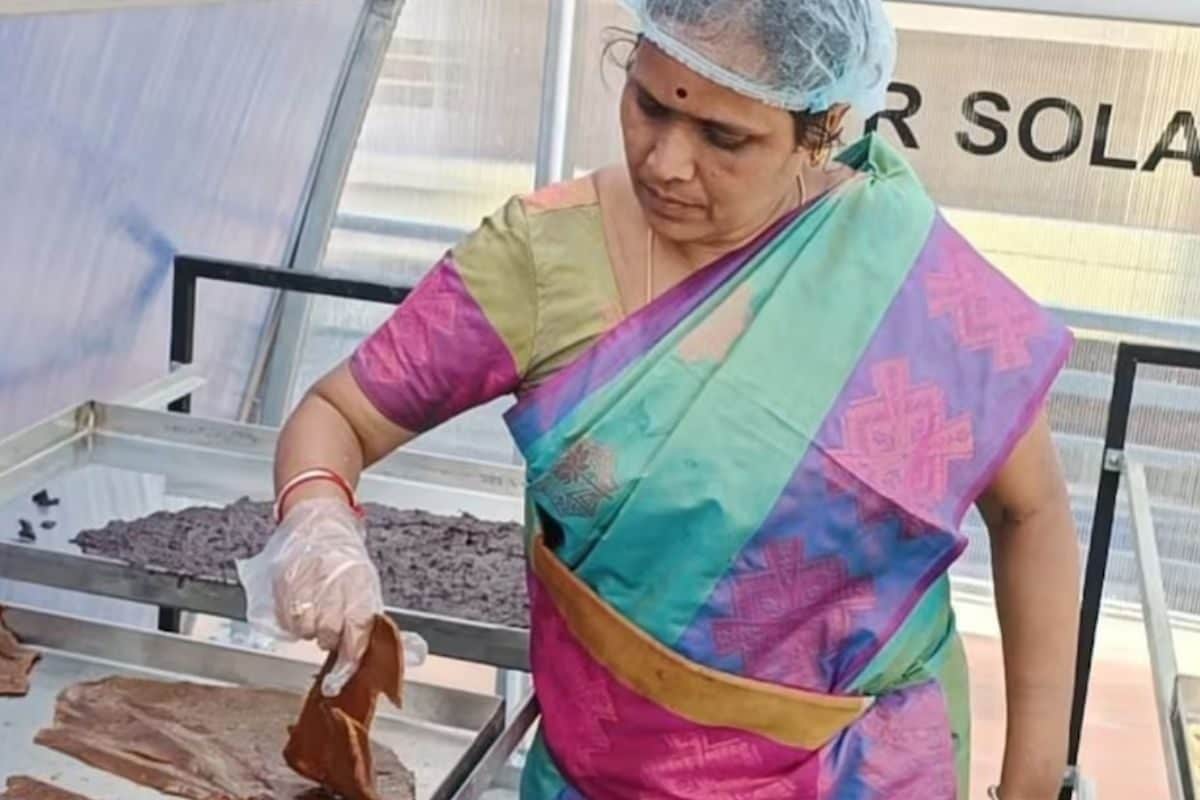 With Value-added Mango Products, Theni Entrepreneur Earns Rs 20,000 Each Month