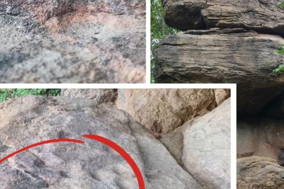 Archaeologists Discover 4000-year-old Ancient Stone Cupules In Tamil Nadu’s Dindigul