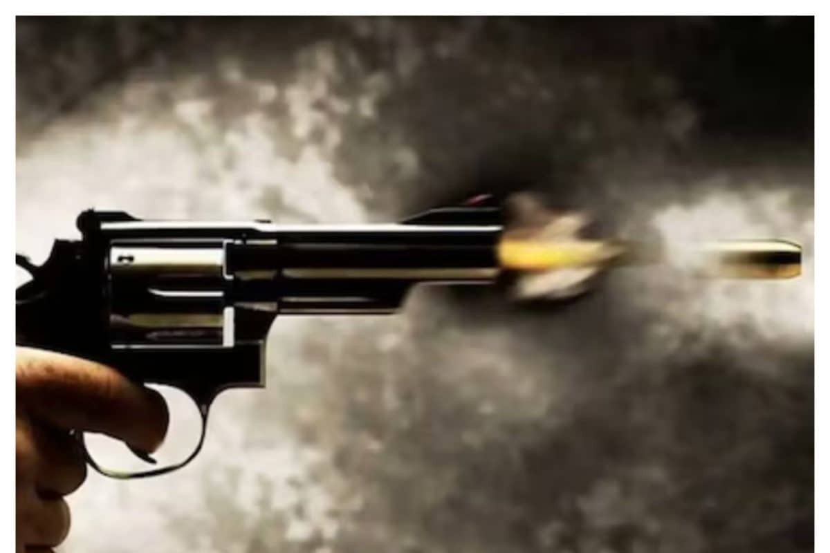 Delhi: Class 6 Student Mistakes Pistol for Toy, Brings It To School