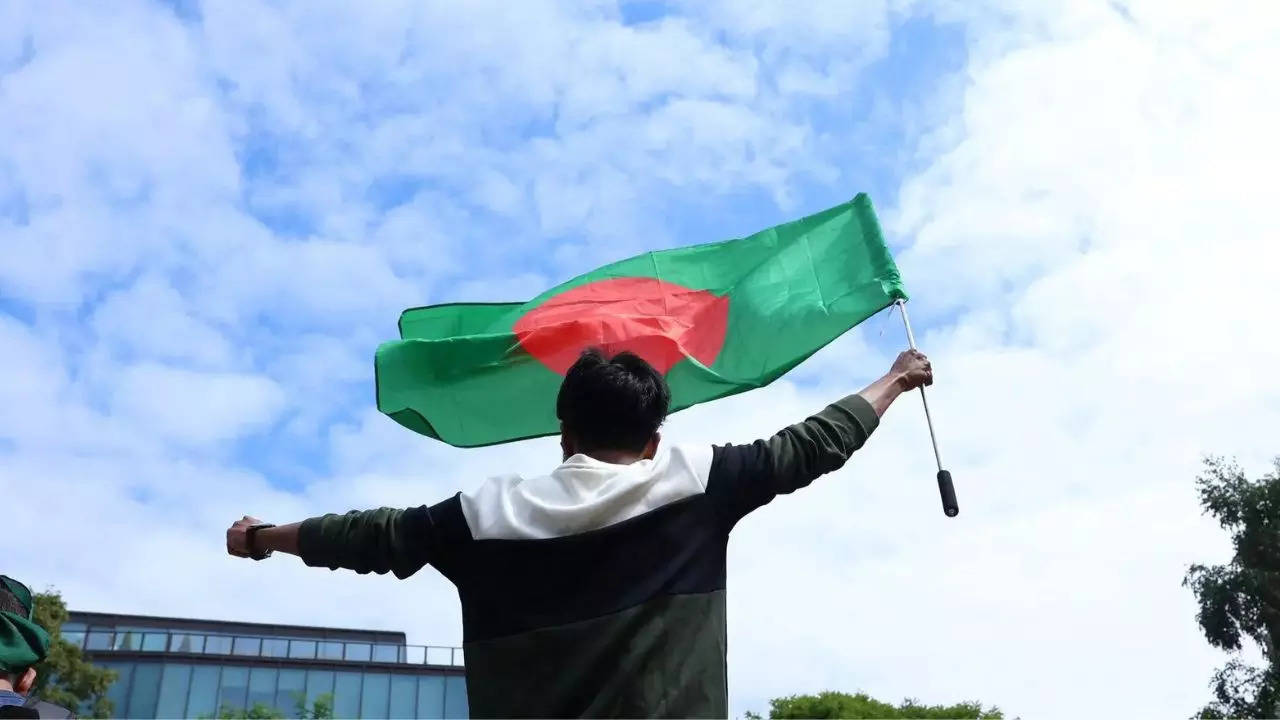 ‘Risk ending up like Pak’: Hasina’s son after political turmoil in Bangladesh