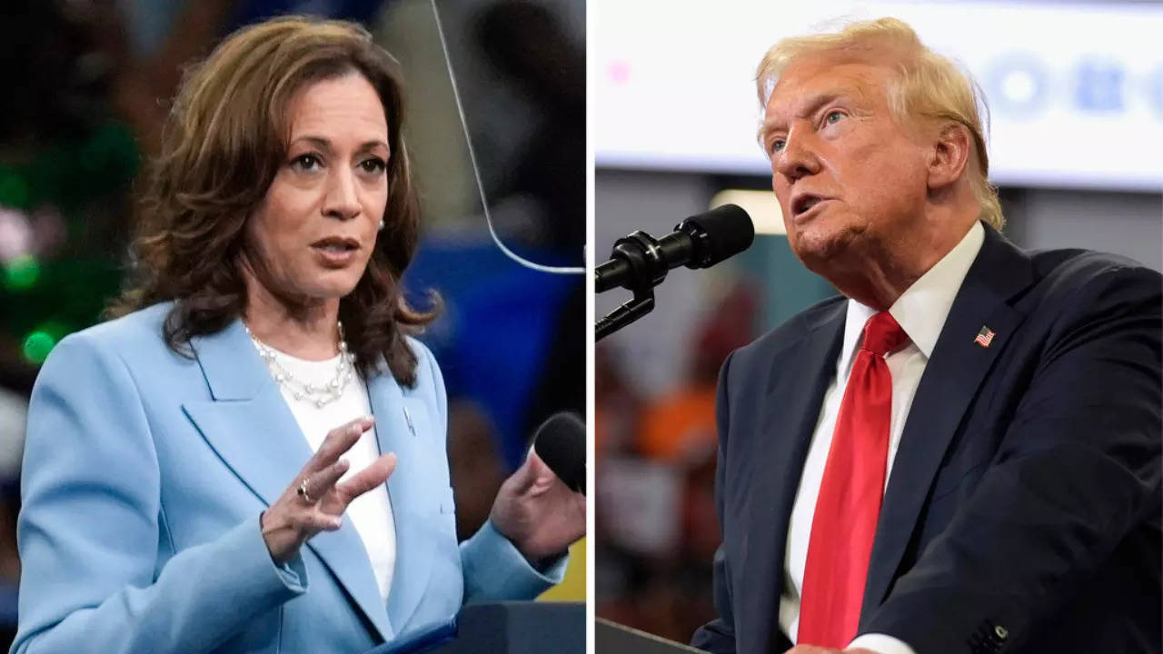 Dogs days of election: NYT says Donald Trump called Kamala Harris a b****