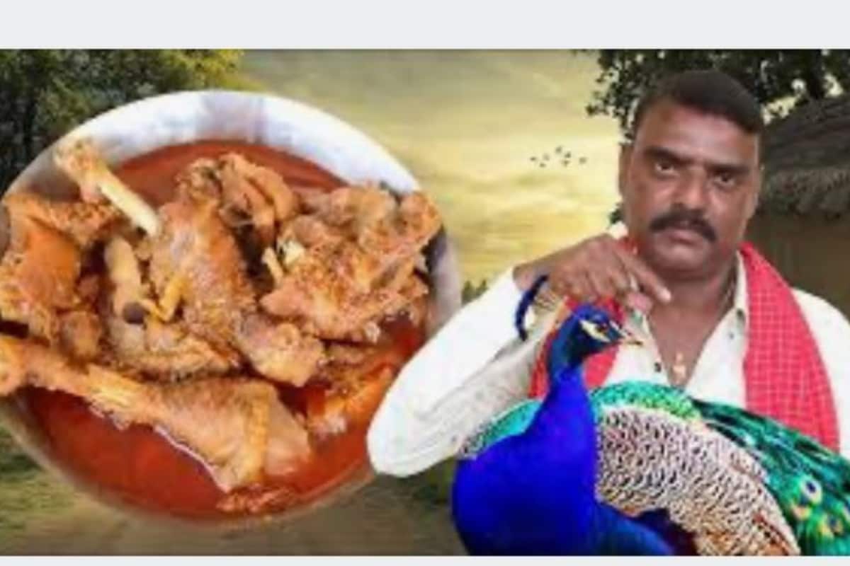 ‘Peacock Curry’: Telangana Police Files Case After YouTuber Shares Controversial Recipe