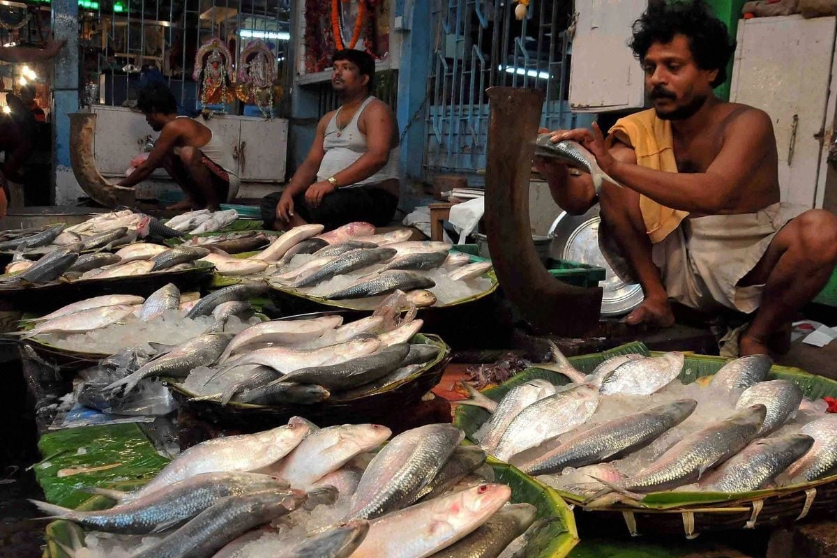 No Ilish In This Year’s Durga Puja Platter? Up-Hilsa Struggle For Bengalis, Traders Amid Bangladesh Crisis