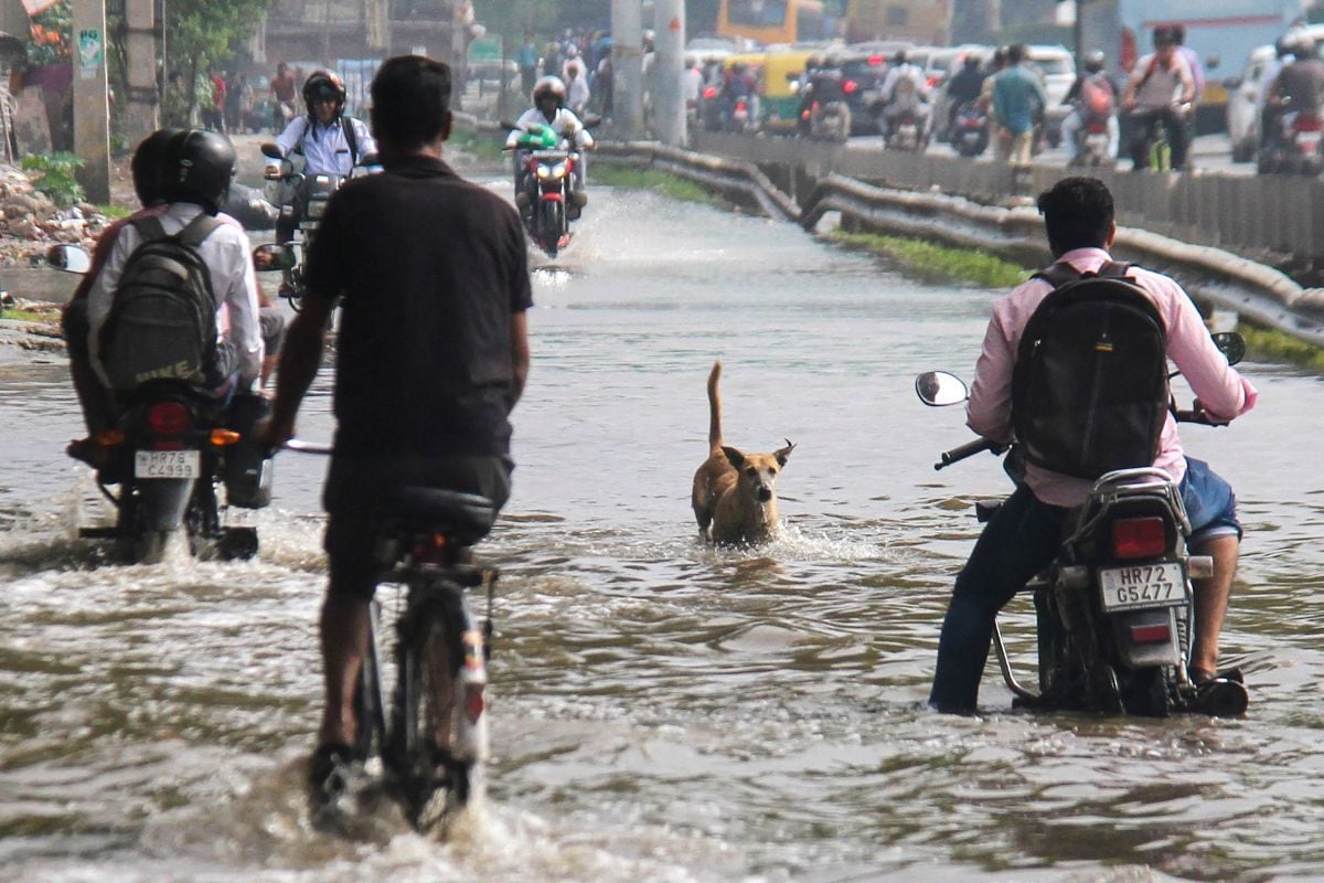 ‘Millennium City Turns Jalgram’: Pictures Of Flooded Roads, Submerged Homes In Gurugram Go Viral