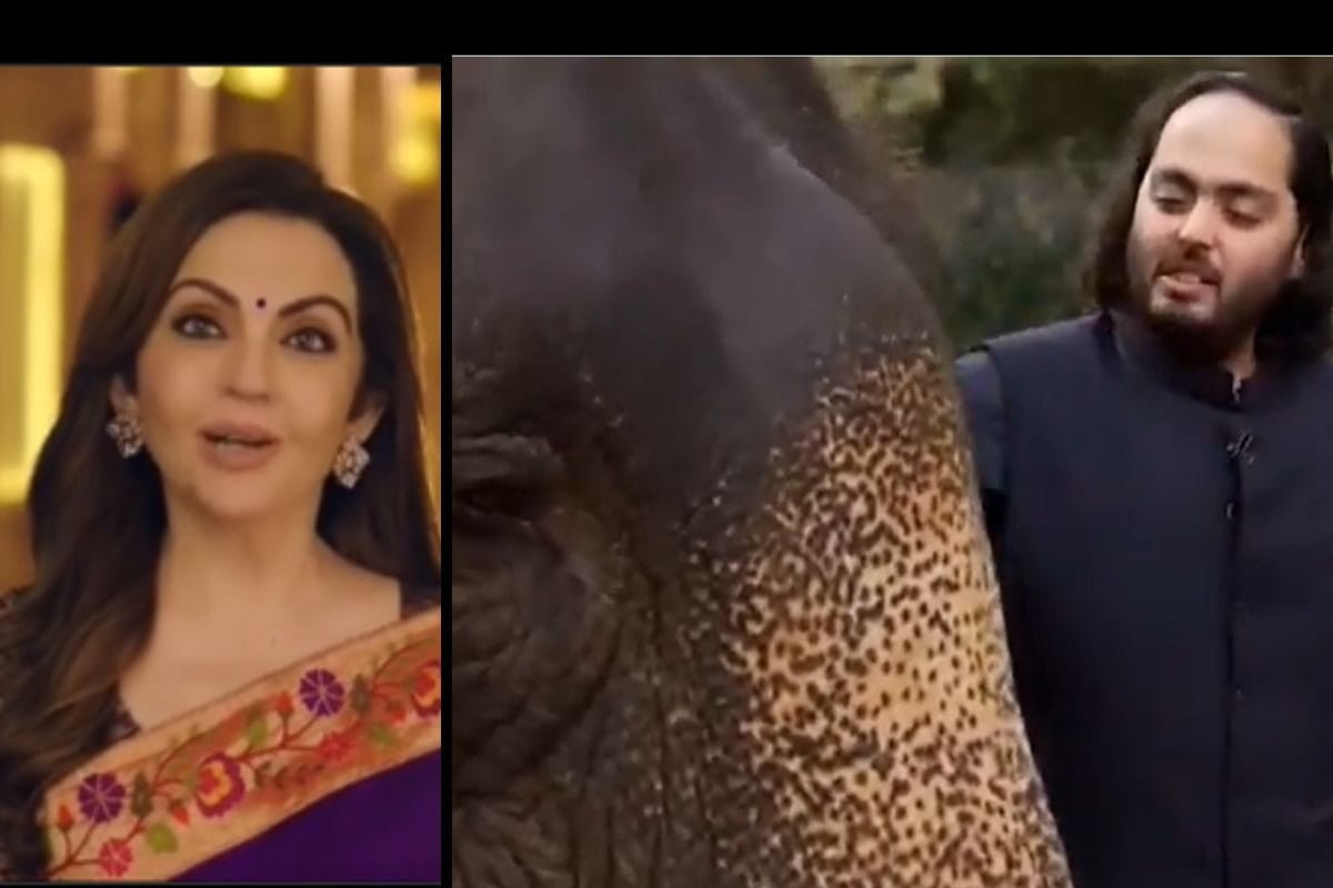 Nita Ambani: Anant Ambani’s Vantara A Reminder of Indian Philosophy of Empathy & Respect For All Living Beings