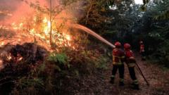 Three firefighters die tackling Portugal wildfires