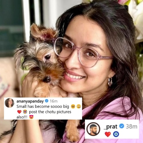 Shraddha Kapoor welcomes ‘nanhi stree’ to her abode but someone isn’t happy about it; don’t miss Ananya Panday’s reaction