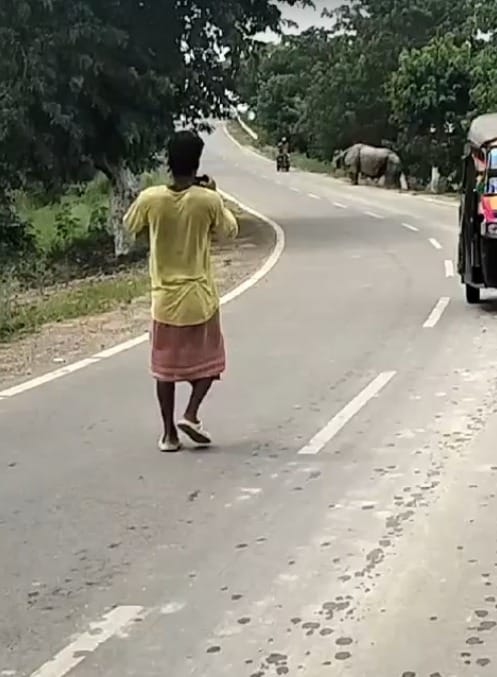 On Camera, Biker Chased And Attacked By Rhino In Assam, Dies On Camera, Biker Chased And Attacked By Rhino In Assam, Dies