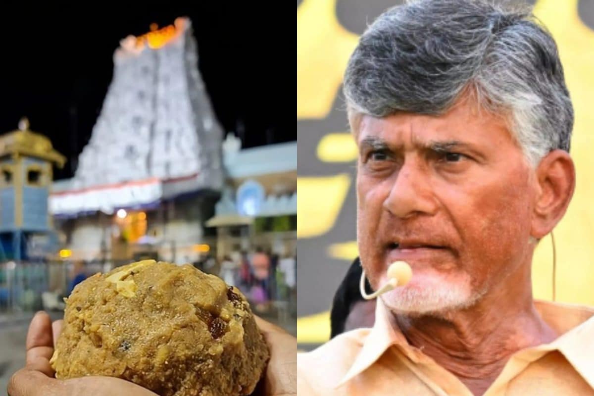 Tirupati Laddoo Row: Andhra Pradesh Govt Sets Up 9-Member SIT To Lead Ghee Adulteration Probe