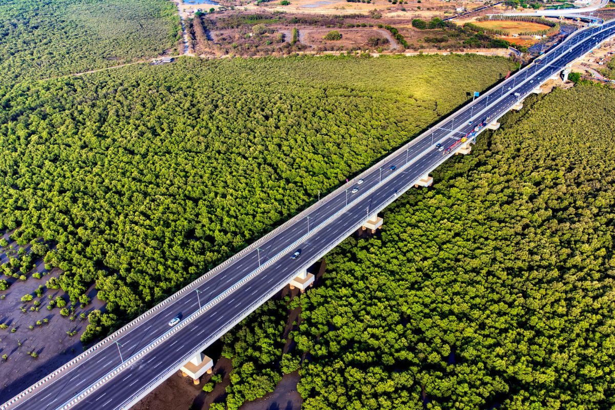 Over 600 CCTV Cameras to Keep an Eye on Mumbai’s Mangrove Cover Across 195 Eco-Sensitive Zones