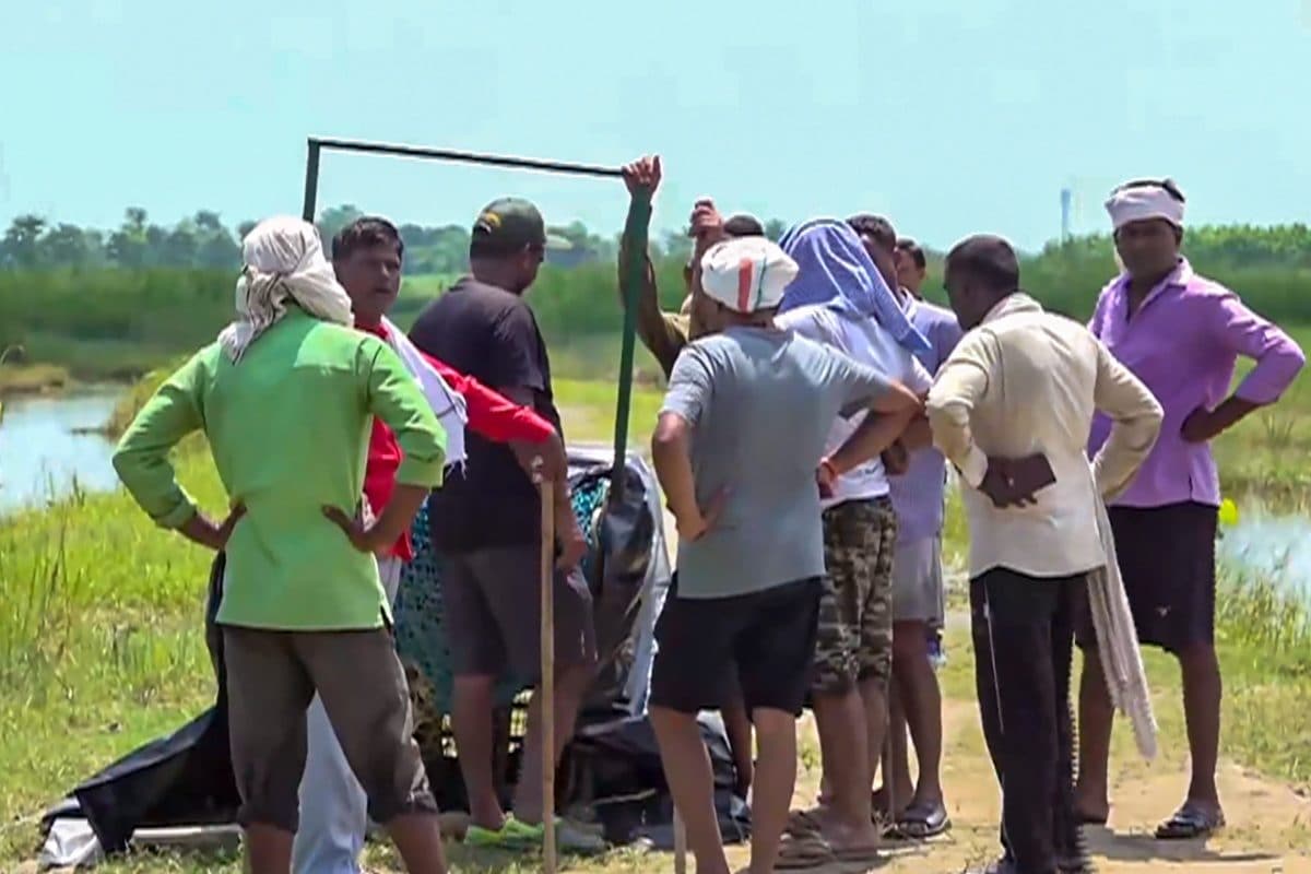 ‘Where Wolf?’ Attacks in UP Carried Out by ‘Hybrids’, Suspect Experts