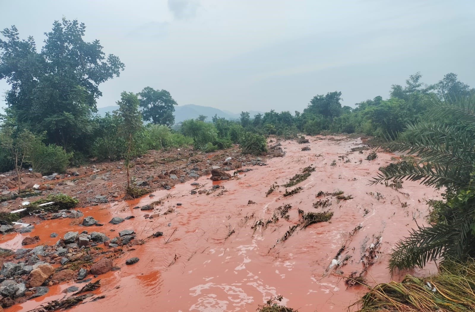 Water Storage Breach At Vedanta Alumina Unit In Odisha Impacts Farm Land