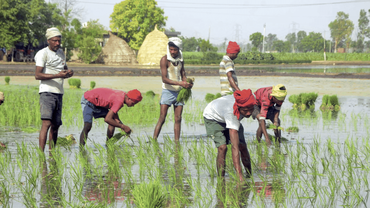 Cabinet takes 7 big decisions worth Rs 14,000 crore for farmers’ welfare