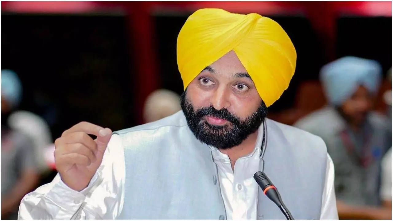 Cash-strapped Punjab govt slashes power subsidy, hikes VAT on fuel