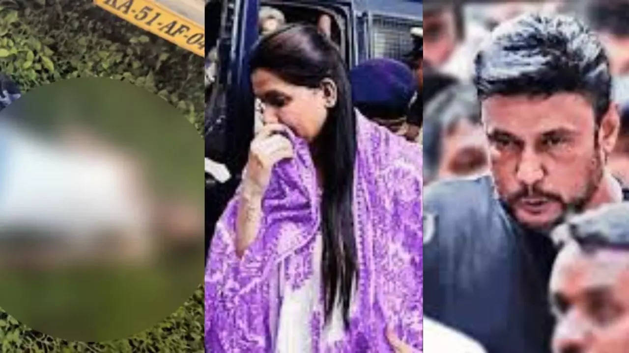 Damaged testicles, broken chest; court terms Darshan’s girlfriend Pavithra ‘root cause’