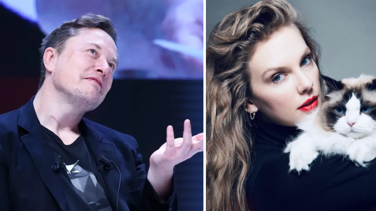 ‘Fine Taylor, you win’: Musk’s reaction after Swift endorses Harris