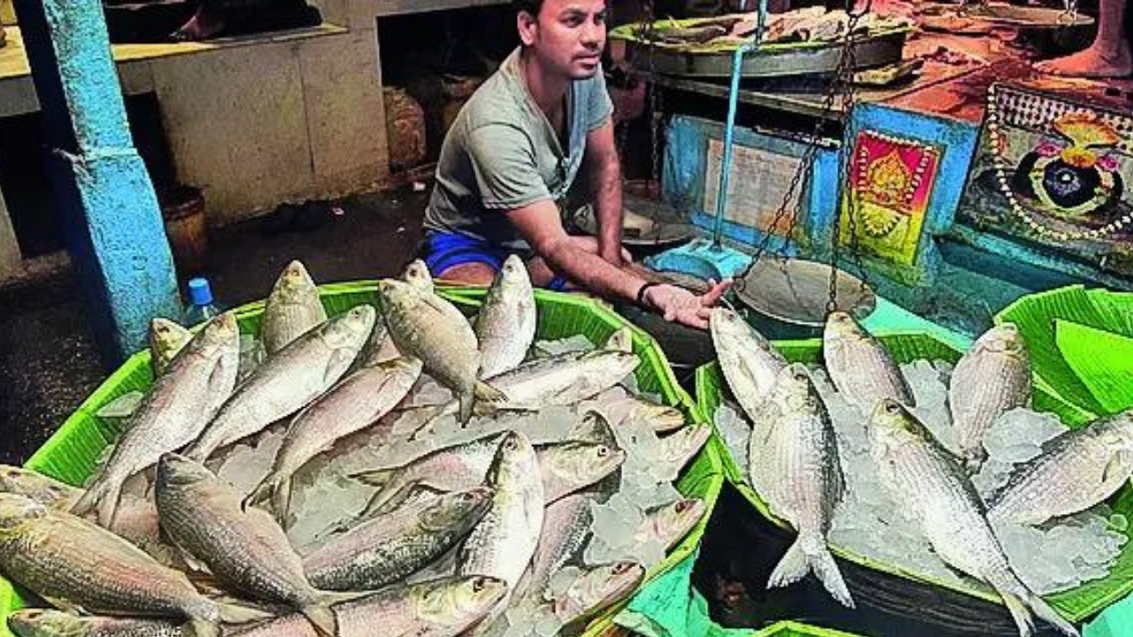 No ‘Padmar ilish’ in Kolkata this Puja as B’desh stops Hasina’s ‘hilsa diplomacy’