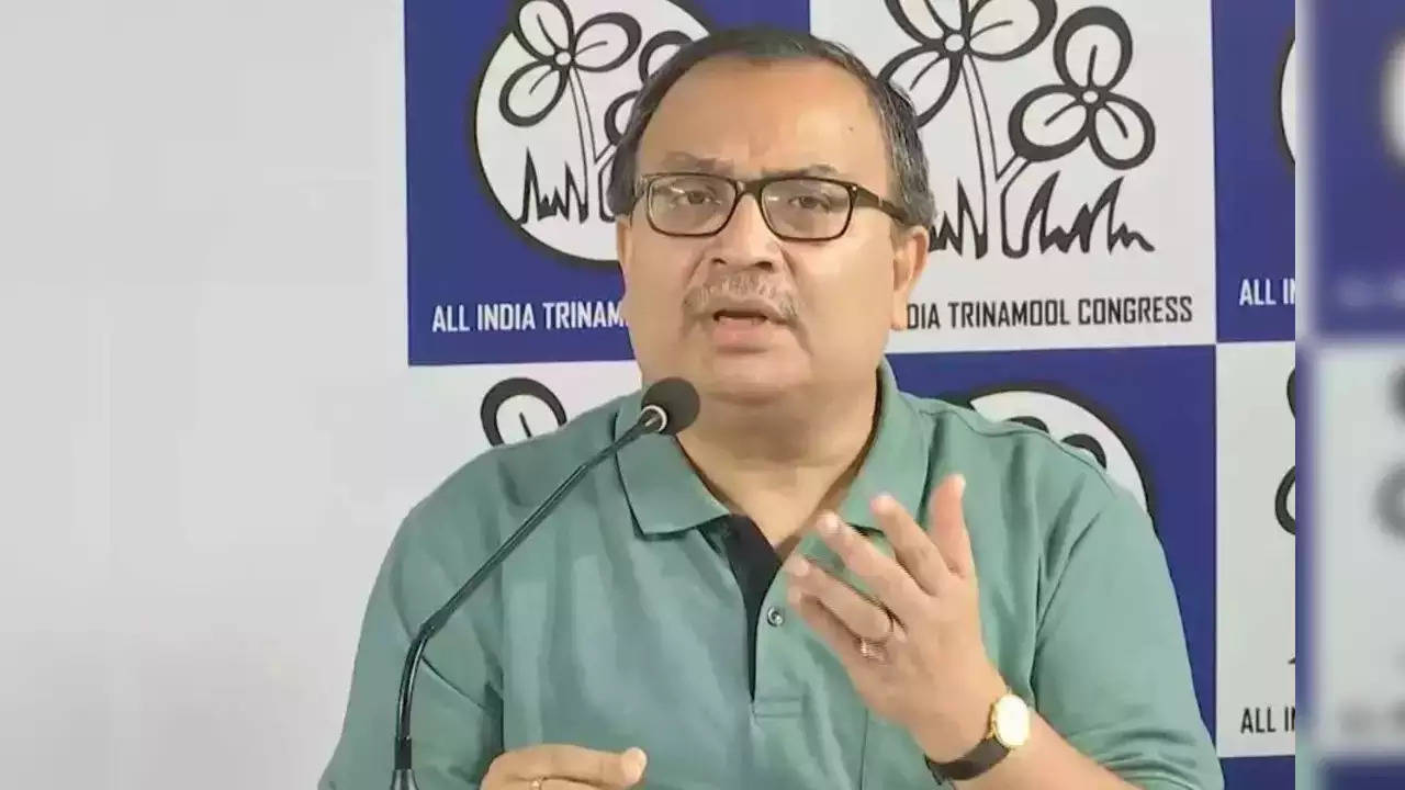 Audio: Ex TMC MP alleges conspiracy to attack doctors in Kolkata