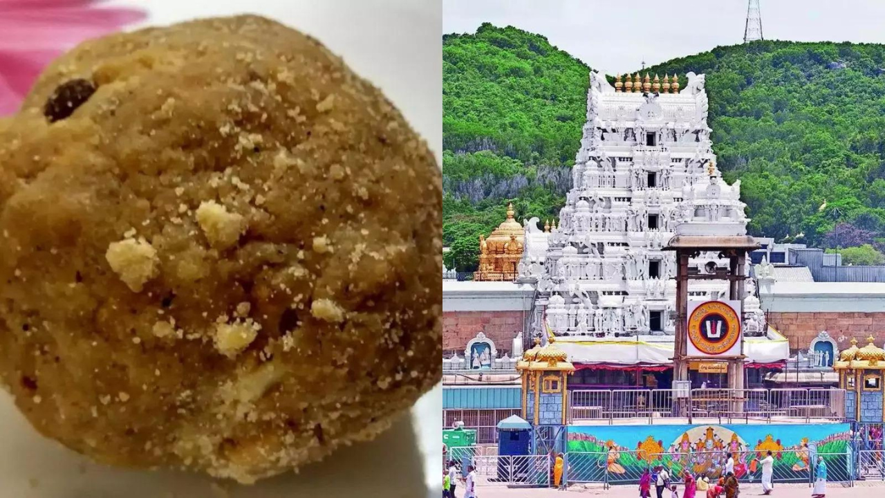 Tirupati laddu row: Lab reports confirm lard, tallow in ghee supplied to Tirumala