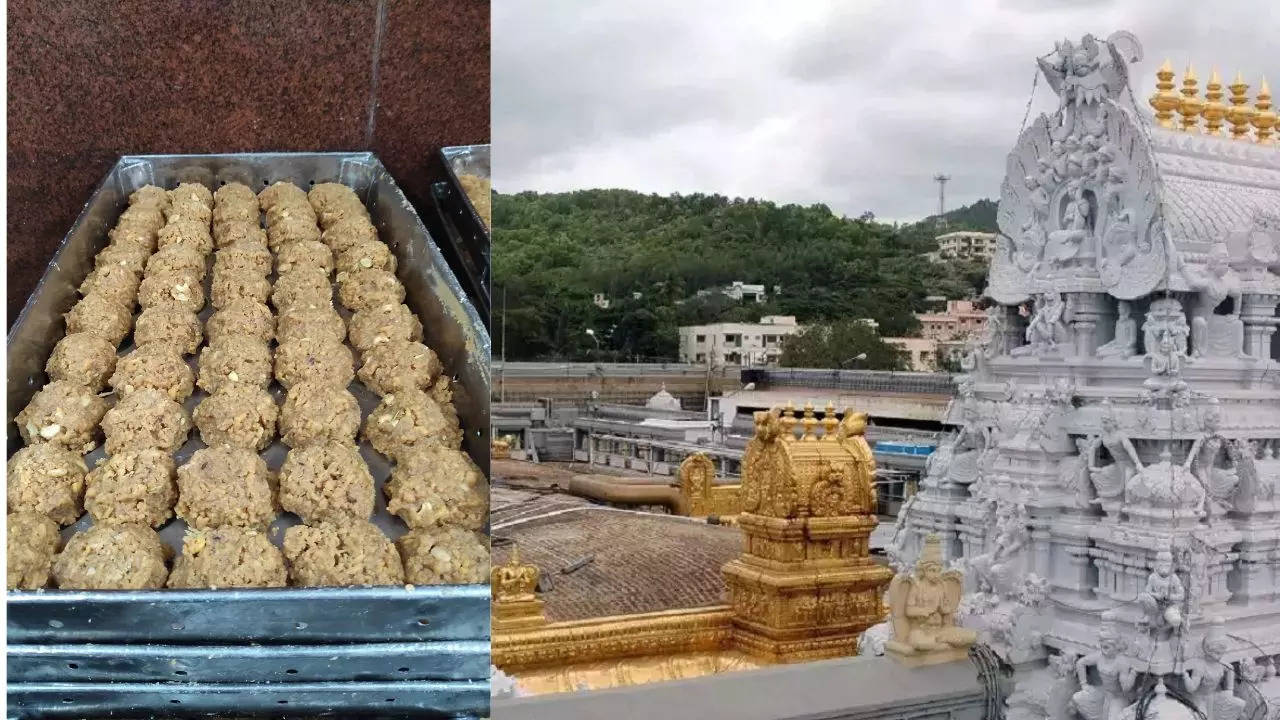 ‘Rs 500cr revenue annually’: Tirupati’s sacred sweet takes sour turn amid prashad row