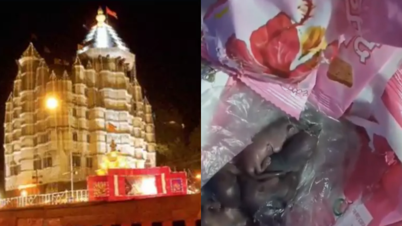 Mice found on prasad packets at Mumbai’s Siddhivinayak Temple; probe on