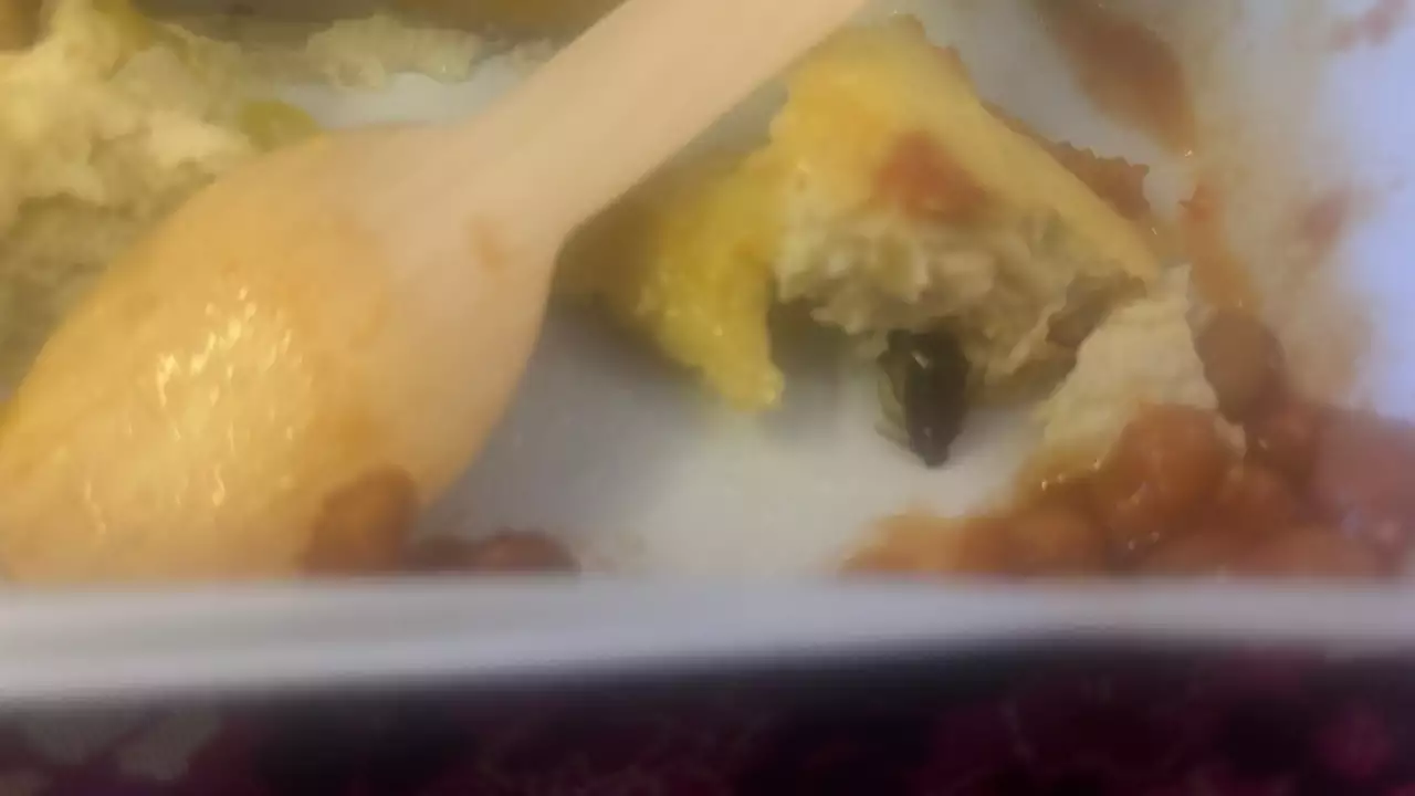 Cockroach in Air India Delhi-New York flight meal; kid ‘falls ill’