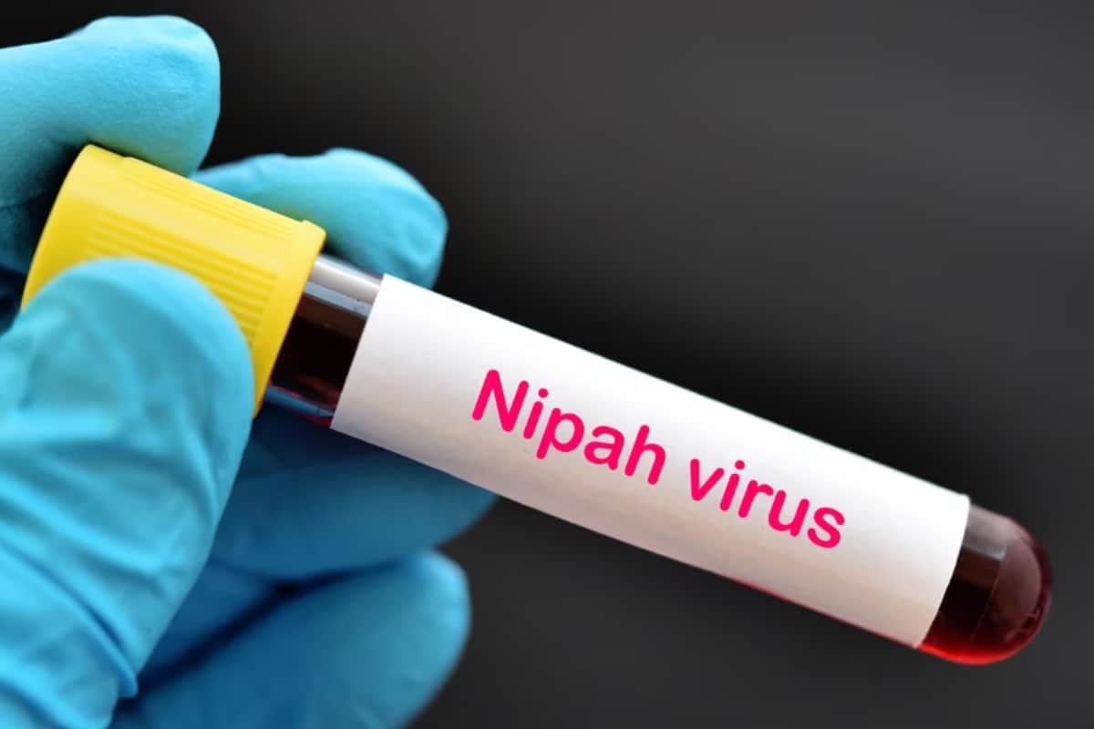 Nipah Virus: Stricter Restrictions Imposed In Malappuram; Schools, Cinema Halls To Remain Shut
