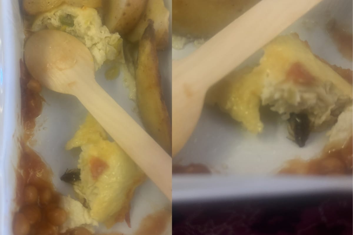 Passenger Finds Cockroach In Omelette Served In New York-Bound Air India Flight, Airline Responds