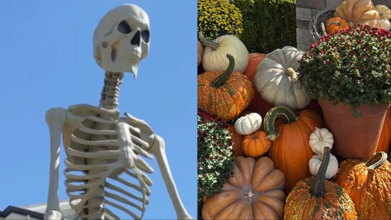 ‘We Are In The Halloween Spirit Over Here’: Kylie Jenner Transforms USD 36 Million Mansion Into Autumn Wonderland; See PICS